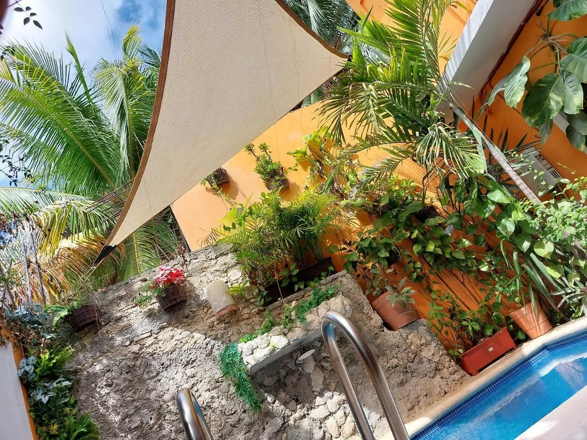 5 Estudio Planta Alta Con Terraza Κοζουμέλ Μεξικό